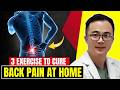 The ONLY 3 Exercises You NEED For BACK PAIN