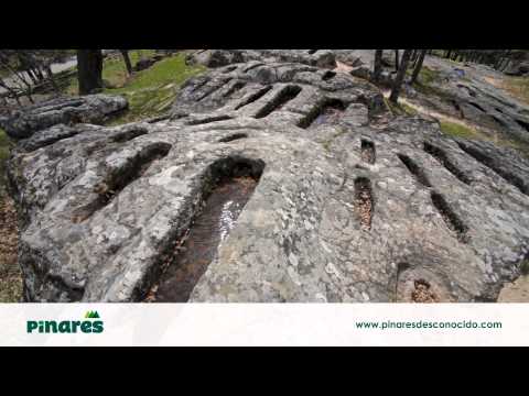 Pinares Desconocido - Quintanar de la Sierra, Necrópolis