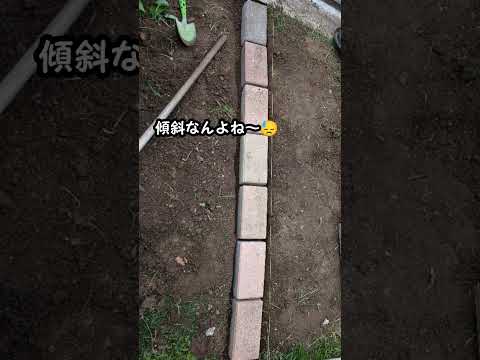 ビンテージ食器の庭の境界線を埋めて道の境界を定めるアイデア