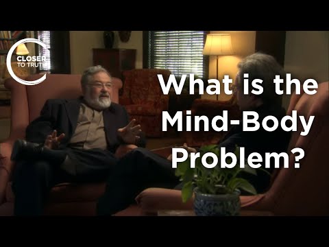 George Lakoff - What is the Mind-Body Problem?