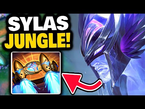 SYLAS ult STOLE MY WALLET!! give it back!!!