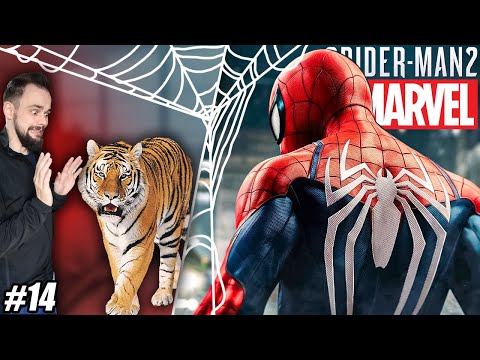 TAMPING THE TIGER | Spider-Man 2 PL 4K [#14]