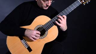 Guitarras admira - Modelo Virtuoso