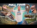 FULL TOUR Of My VENOMOUS SNAKE and CROCODILE Collection!!!