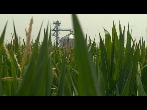 This Week in Agribusiness July 8, 2023