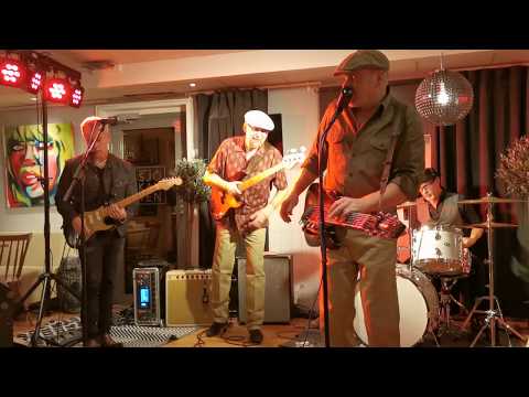 The Fortunate Few - I am a honey bee