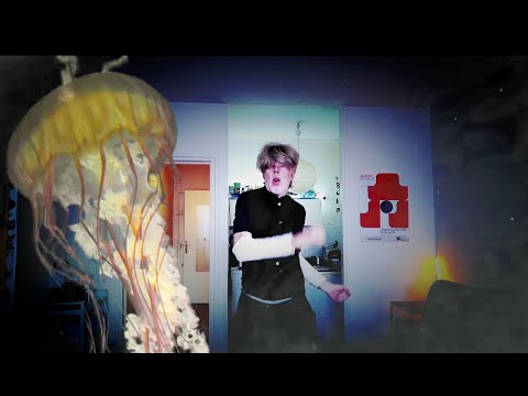 Momus: When You're Near Me I Have Difficulty