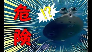 恐怖⁉　カレイ(？)が襲ってきます・・・。【ファインディングニモ実況 part2】Finding Nemo