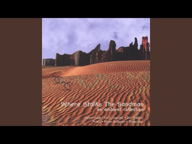 Scrivere un articolo da critico musicale su Steven Wilson