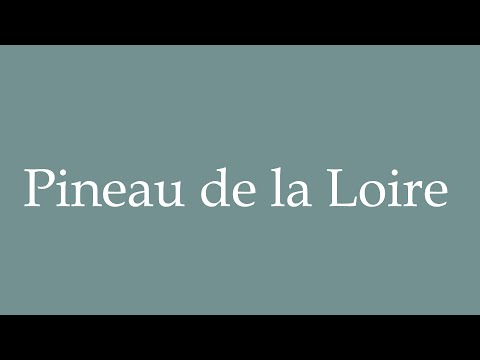 How to Pronounce ''Pineau de la Loire'' Correctly in French