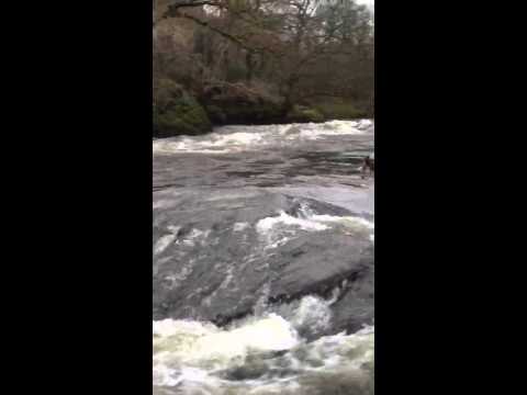 River Dee Serpents Tail, Llangollen