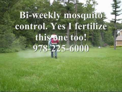 Tick Spraying North Andover Massachusetts 01845