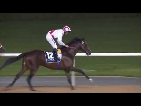 08.01.2015 Meydan (Dubai/UAE) 2.Race Longines Prima Luna - Handicap 1.900 m