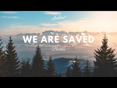 Borrtex - We Are Saved