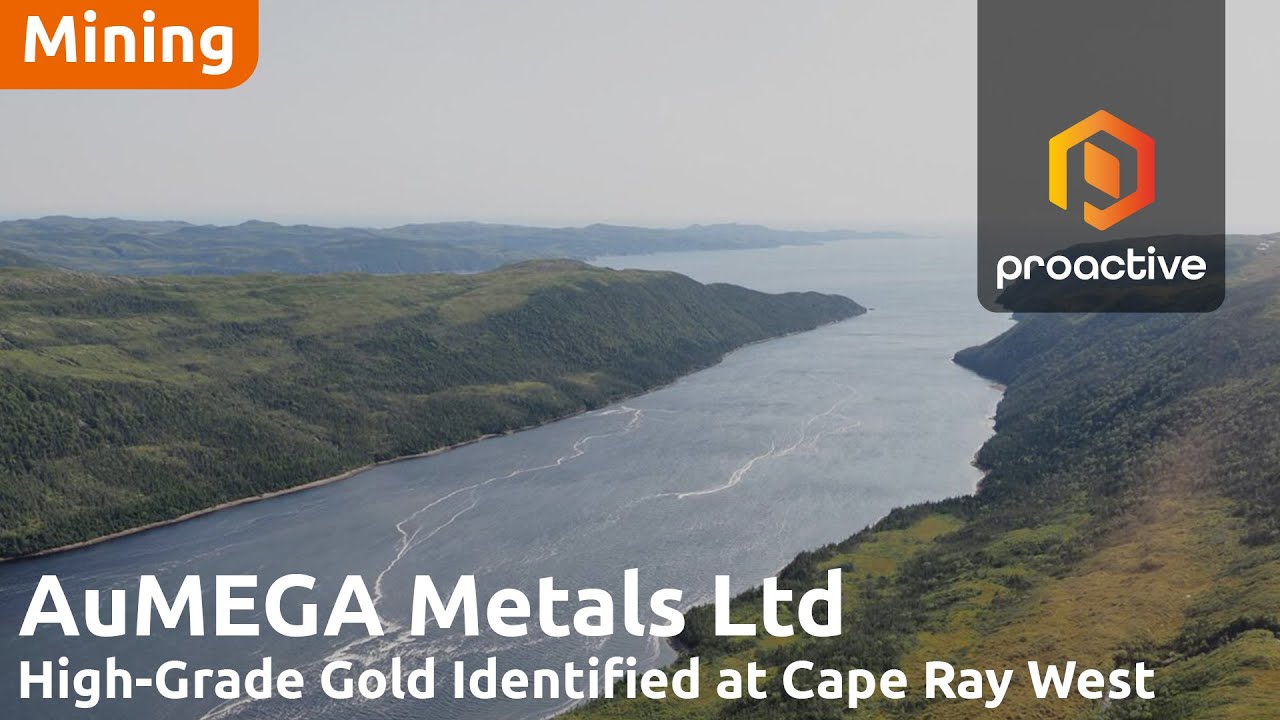 AuMEGA Metals discovers multi-kilometre gold corridor at Cape Ray West, sets Q4 drill targets