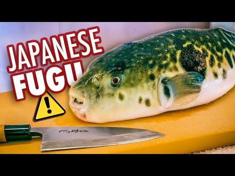 我吃到了日本最致命的料理｜毒河豚（府谷魚 (I Ate Japan's Deadliest Dish | Poisonous Blowfish (Fugu))