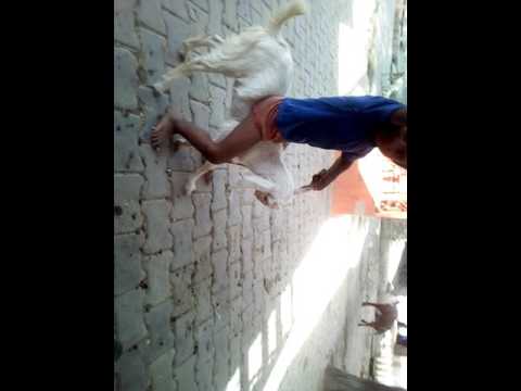 download lagu mp3 mp4 Www Sabwap Com, download mp3 Www Sabwap Com free download mp3, download mp3 Www Sabwap Com