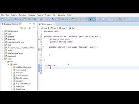 Java Inheritance Constructor Super And This