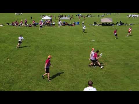 230819 Hazard vs Mischief