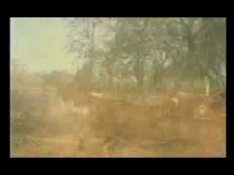 LOS BROTHERS - DIME (david castro)