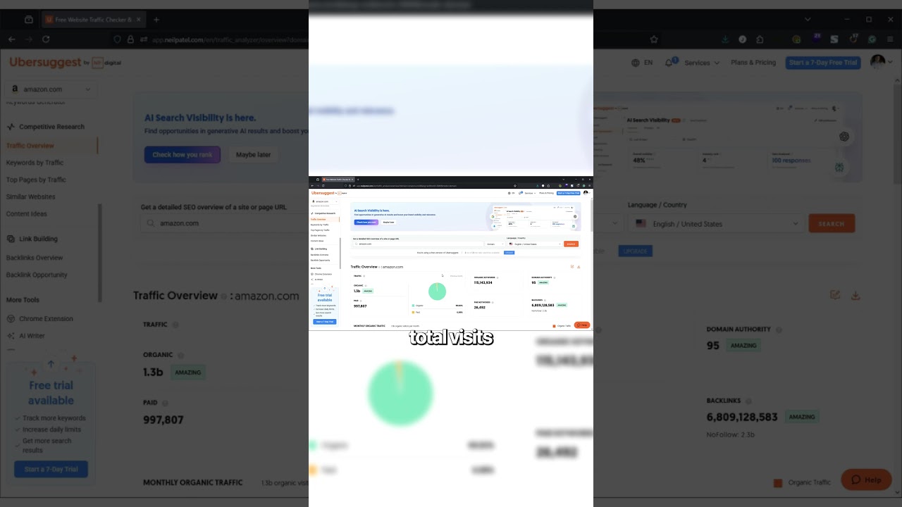 How much website traffic do I have?