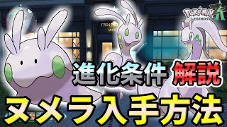 【ポケモンZA】ヌメラ（ヌメイル・ヌメルゴン）の入手方法・出現場所！ヌメルゴンの少し特殊な進化条件も解説します！【ポケモンレジェンズZA】