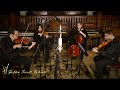 Flightless Bird (Iron and Wine) - string quartet cover
