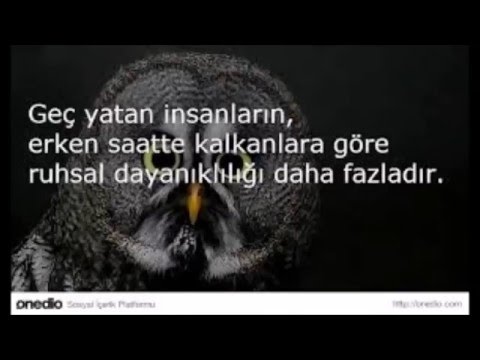 SEKİZZ TV İLGİNÇ BİLGİLER 2