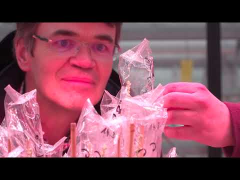 Saaten-Union: HySeed Hybrid Rye – The No.1 for efficiency