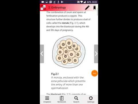Anatomy -  free simple flashcards based reference Video