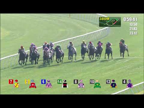 18/12/2021 (265) Happy Daily - K Teetan