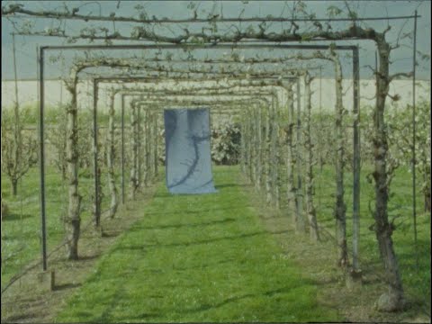 Bluestaeb - U (Visualizer)