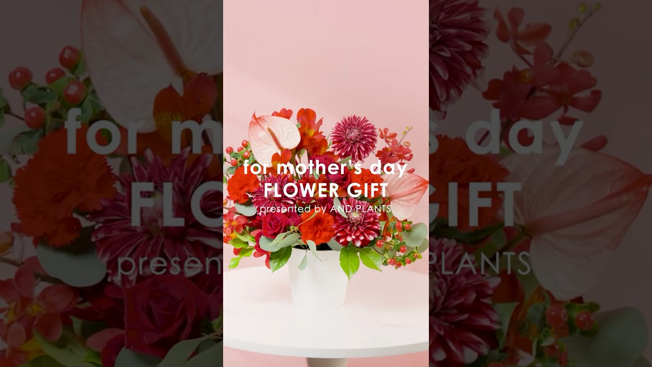 王道から花瓶付きまで💐アンドプランツの母の日ギフト、どれ選ぶ？✨