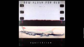 New Flesh For Old - Equilibrium
