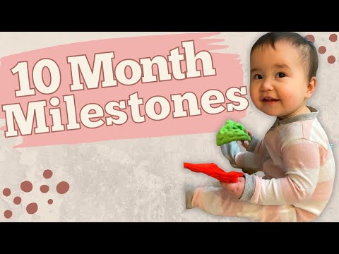 10 MONTH OLD DEVELOPMENTAL MILESTONES | What Your Ten Month Old Baby Should Do + Activities!