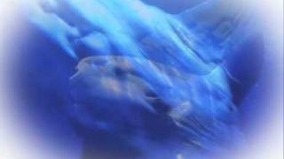 Didier Euzet - Poisson-Lune (501).