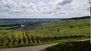 Miniature de la vidéo