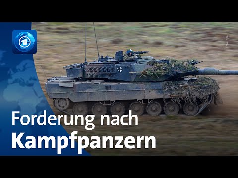 Kampfpanzer für Ukraine: Michael Roth (SPD) fordert gemeinsame Entscheidung Europas