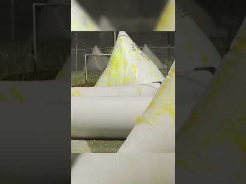 Fighting for the Dorito side!