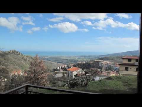 petrizzi_17feb2010full.avi