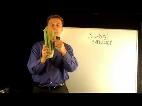 Adrenal Fatigue Is Cortisol Responsible for Your Diabetes Dr Berg