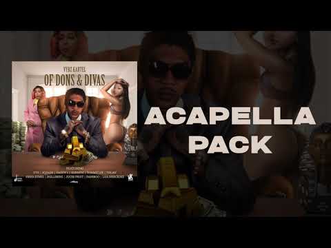 Vybz Kartel ACAPELLA PACK (Of Dons and Divas Album)