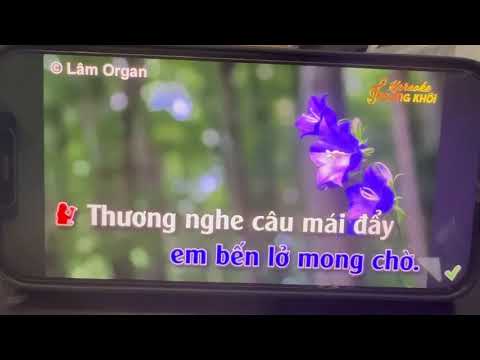 02. SC Chim Trắng Mồ Côi 