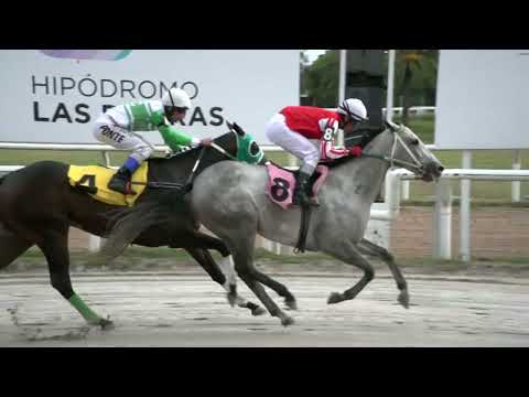 230217 c04 - CANDIDA - HIPODROMO LAS PIEDRAS