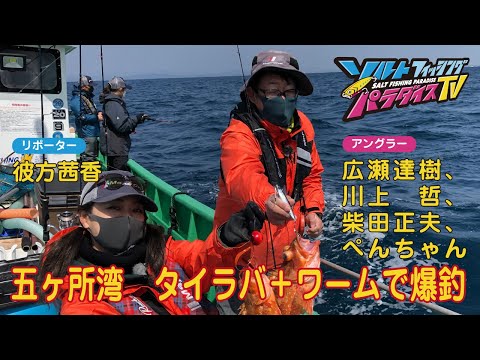 三重県・五ヶ所湾 タイラバ+ワームで爆釣(ソルパラTV・第82回2022年4月21日放送)