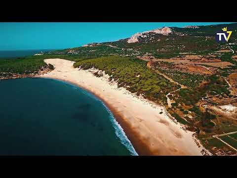 DIRECTO | Vive con nosotros el Cádiz - Mallorca de la jornada 19 en LaLiga Santander