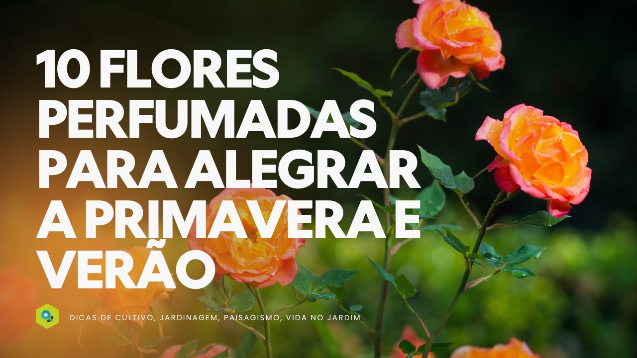 10 FLORES PERFUMADAS para ALEGRAR a PRIMAVERA e o VERÃO
