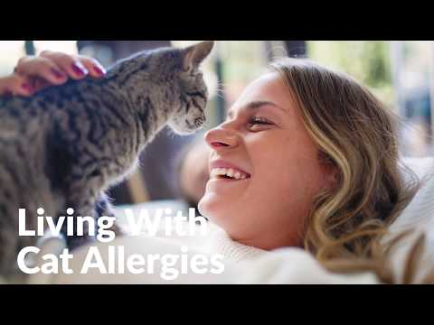 Living With Cat Allergies: Do's and Dont's
