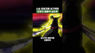 원피스) 스승 미호크를 넘기위한 조로의 패왕색 삼도류