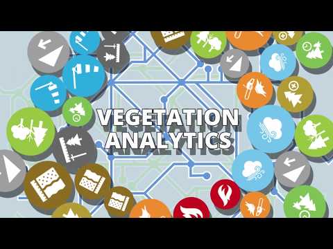 Vegetation Analytics